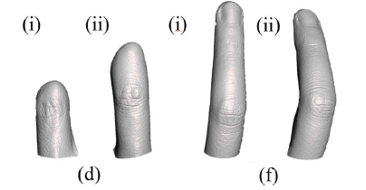 Model jari 3D lainnya